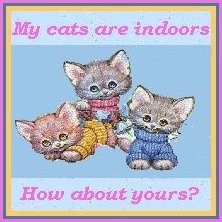 My cats are indoors, How about yours?