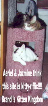 Brandi's Kitten Kingdom