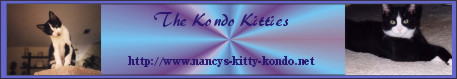 The Kondo Kitties