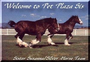 Welcome to Pet Plaza Sis