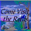 The Reeds