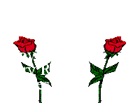 Love Fairy Rose Kisses