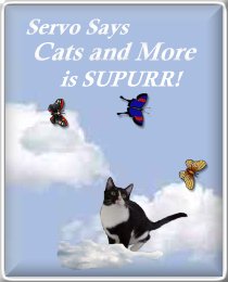 Servo Says Cats and More is SUPURR!
