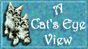 A Cat's Eye View