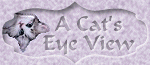 A Cat's Eye View