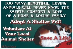 Adopt a Shelter Pet!