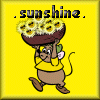 Sunshine