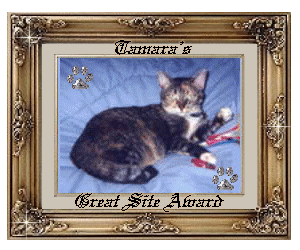 Tamara's Great Site Award