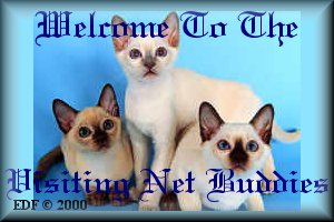 Welcome To The Visiting Net Buddies