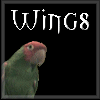 Wings & Wheeks