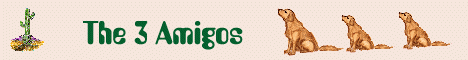 The Three Amiego's