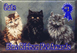 Petsburgh Blue Ribbion Award