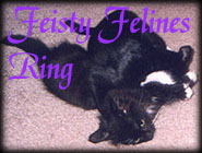 Feisty Feline's Ring