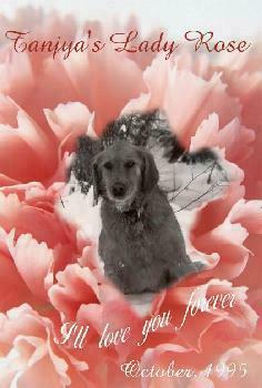 Daisy and Blacky