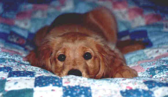 Molly Brown