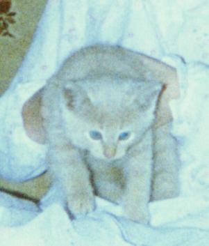 My First Day Home!