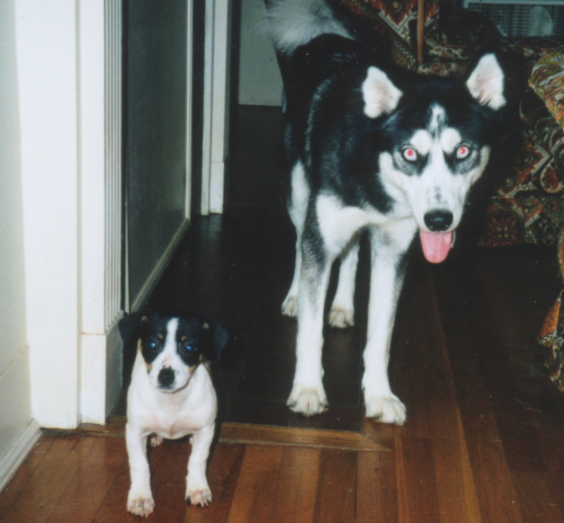 Shannon and Bear