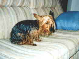 I hate baths!