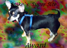 Thanks so much, Spike Puppy!