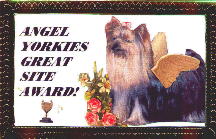 Thanks a bunch, Angel Yorkies!