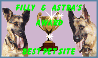 M_F_A_Award