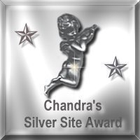 Silver Award