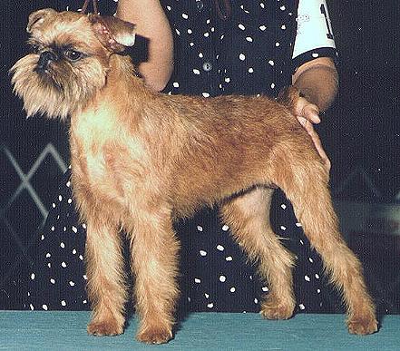 KRBtp.JPG (53293 bytes)