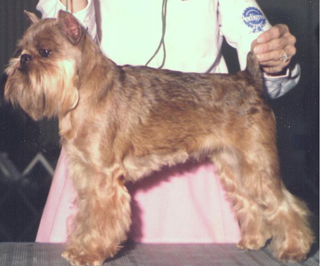 Kifftp.JPG (42264 bytes)