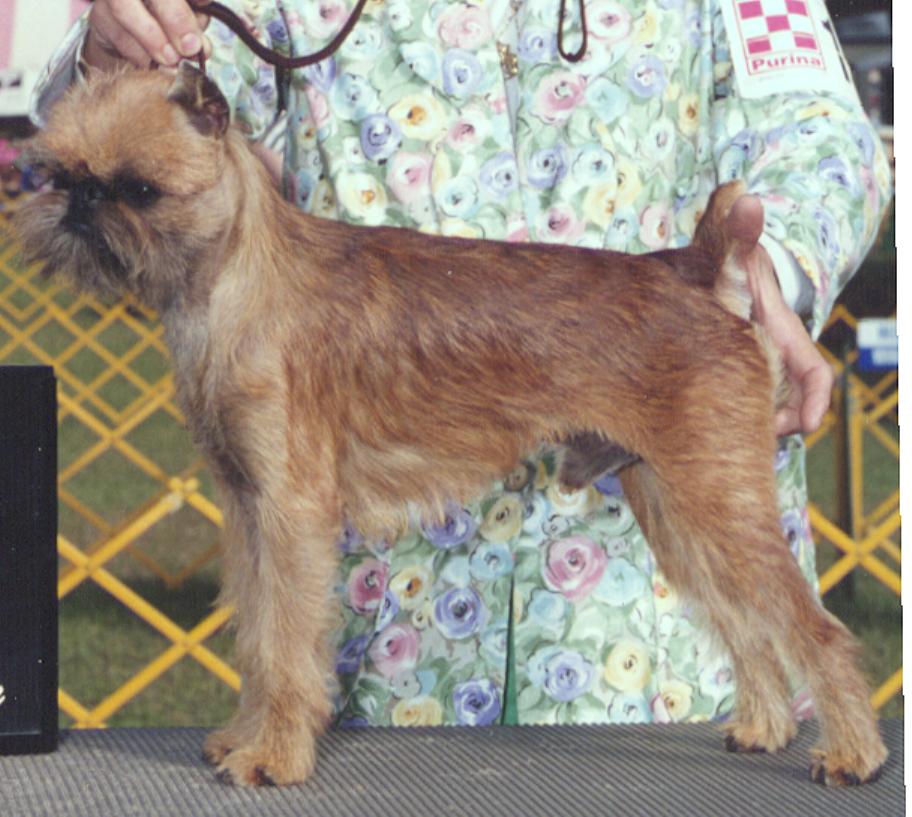 Korkytp.JPG (102905 bytes)
