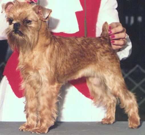 Twistertp.JPG (34399 bytes)