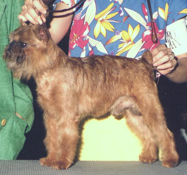 sputtp.JPG (60691 bytes)