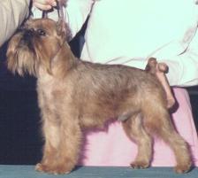 stripetp.JPG (7813 bytes)