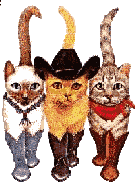 Three Walking Cowboy Kitties