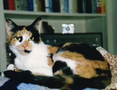 Pretty Minnie