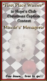 Minnie's Award