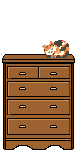 Calico in dresser