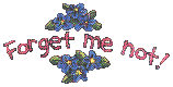 Forget Me Not