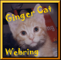 Ginger Cat