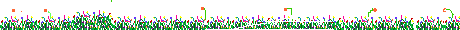 grass