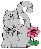 Happy Gray Kitty