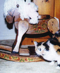 Rocking Horse