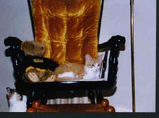 Baby Mushy