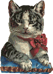 Cute Kitties