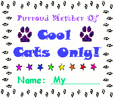 Cool Cats Only
