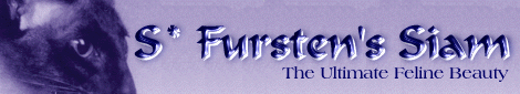 S* Fursten's Siam: The Ultimate Feline Beauty