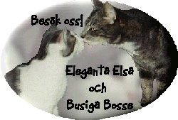 Eleganta Elsa & Busiga Bosse