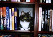 books.jpg (8531 bytes)