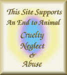 End to Animal Abuse