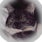 face.gif (19012 bytes)