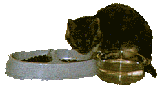 food.gif (9654 bytes)